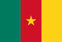 Drapeau Cameroun