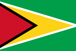 Drapeau Guyana