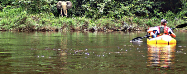 Nature Gabon