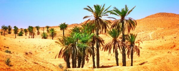 Dessert Mauritanie