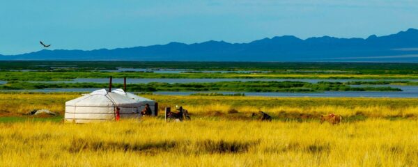 Mongolie-header