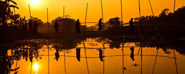 Bangladesh nature