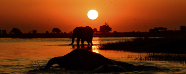 Tourisme en Botswana