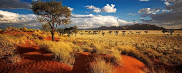 namibie-paysage